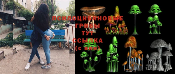 гидропоника Алексин